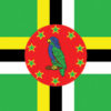 Dominica 12"x18" Stick Flag