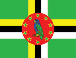 Dominica 12"x18" Stick Flag