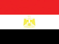 Egypt 12"x18" Stick Flag