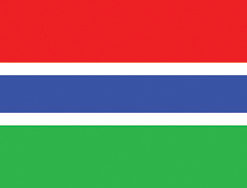 Gambia 12"x18" Stick Flag