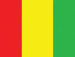 Guinea 12"x18" Stick Flag