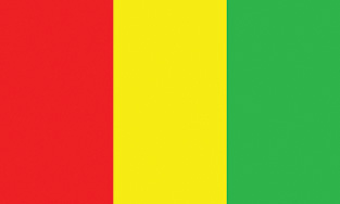 Guinea 12"x18" Stick Flag