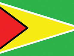 Guyana 12"x18" Stick Flag