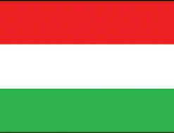 Hungary 12"x18" Stick Flag