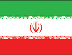 Iran 2x3' Poly Flag
