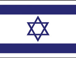 Israel 12"x18" Stick Flag
