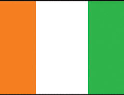 Ivory Cost 12"x18" Stick Flag