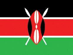 Kenya 12"x18" Stick Flag