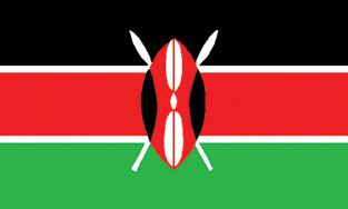 Kenya 12"x18" Stick Flag