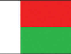 Madagascar 12"x18" Stick Flag
