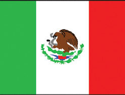 Mexico 2x3' Poly Flag