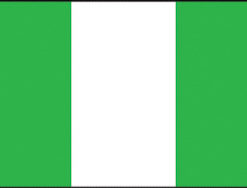 Nigeria 2x3' Poly Flag