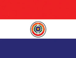 Paraguay 12"x18" Stick Flag
