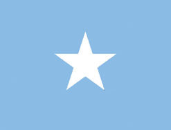 Somalia 2x3' Poly Flag