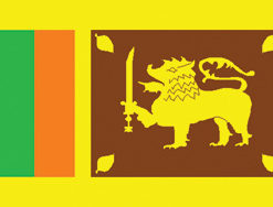 Sri Lanka 12"x18" Stick Flag