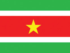Surinam 12"x18" Stick Flag