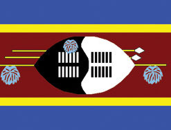 Swaziland 12"x18" Stick Flag