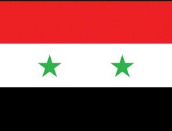 Syria 12"x18" Stick Flag