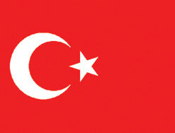 Turkey 12"x18" Stick Flag