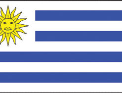 Uruguay 12"x18" Stick Flag
