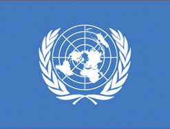 United Nations 12"x18" Stick Flag