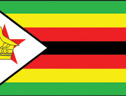 Zimbabwe 12"x18" Stick Flag