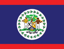 Belize 12"x18" Stick Flag