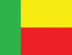Benin 12"x18" Stick Flag
