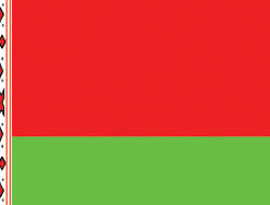 Belarus 12"x18" Stick Flag