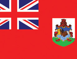 Bermuda 12"x18" Stick Flag