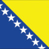 Bosnia 2x3' Poly Flag