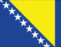 Bosnia 12"x18" Stick Flag