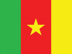 Cameron 2x3' Poly Flag