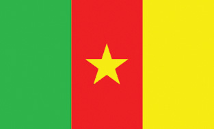 Cameron 2x3' Poly Flag
