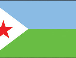Djibouti 12"x18" Stick Flag