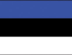 Estonia 12"x18" Stick Flag