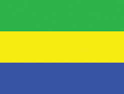 Gabon 2x3' Poly Flag