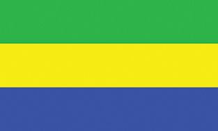 Gabon 2x3' Poly Flag