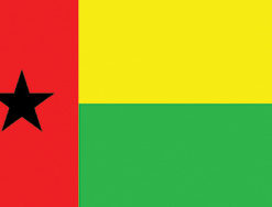 Guinea Bissau 12"x18" Stick Flag