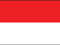 Indonesia 12"x18" Stick Flag