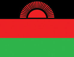 Malawi 12"x18" Stick Flag