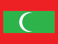 Maldives 12"x18" Stick Flag