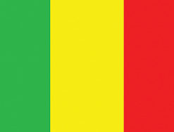 Mali 12"x18" Stick Flag