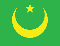 Mauritania 12"x18" Stick Flag