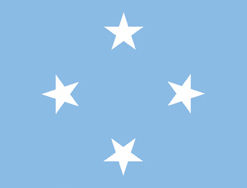 Micronesia 12"x18" Stick Flag