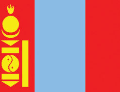 Mongolia 12"x18" Stick Flag