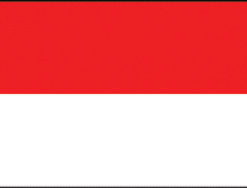 Monaco 12"x18" Stick Flag