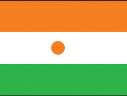 Niger 12"x18" Stick Flag