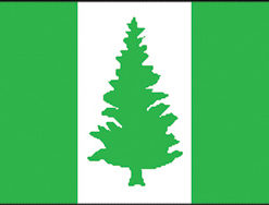 Norfolk Island 12"x18" Stick Flag