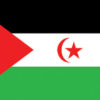 Sahara 12"x18" Stick Flag